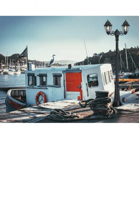 (Preview 2) Κολώνα δρόμου δίφωτη μαύρη 2x6W E27 IP55 FUMAGALLI