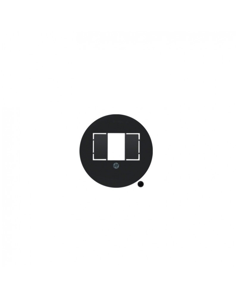 Berker serie 1930 πλακίδιο USB διπλό μαύρο HAGER